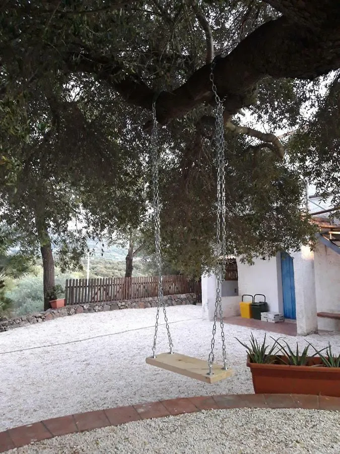 Casa Toloi Apartment Dorgali 0*,
